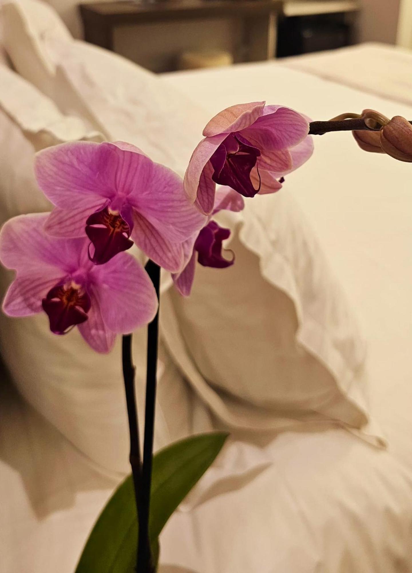 Stoa Rome Boutique Suites Ngoại thất bức ảnh